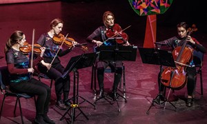 Fidelio - Sinfonia Cymru string players